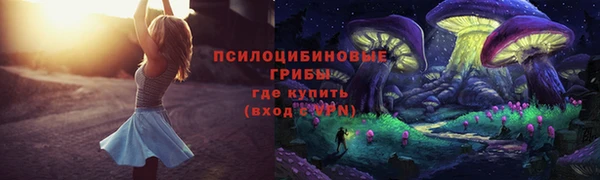 мяу мяу кристалл Богданович